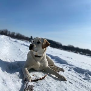 Meet your Posher, Haley